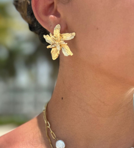 Aretes Azalea